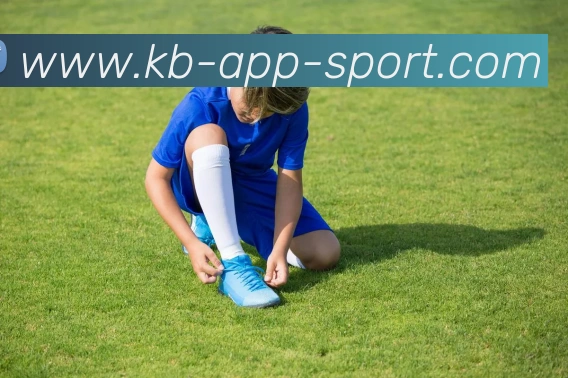 KB体育发展历程